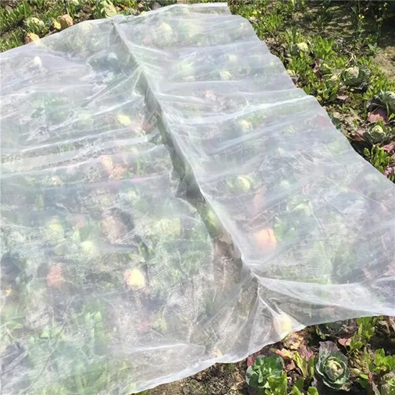 Greenhouse Protective Net Fruit Vegetables Care Cover Insect Net Plant Covers Net Garden Pest Control Anti-bird Mesh Net 
Greenhouse Protective Net Fruit Vegetables Care Cover Insect Net Plant Covers Net Garden Pest Control Anti-bird Mesh Net