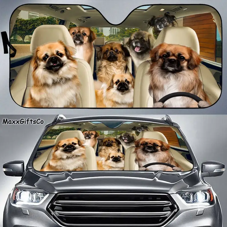 Tibetan Spaniel Car Sun Shade, Dogs Windshield, Family Sunshade, Dog Car Accessories, Car Decoration, Gift For Dad, Mom
Tibetan Spaniel Car Sun Shade, Dogs Windshield, Family Sunshade, Dog Car Accessories, Car Decoration, Gift For Dad, Mom