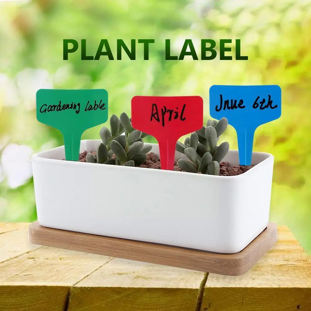 100PCS Garden Labels T Type 3D Plastic Plant Label Tag Classification Garden Mark Tools Sign S3J7
100PCS Garden Labels T Type 3D Plastic Plant Label Tag Classification Garden Mark Tools Sign S3J7