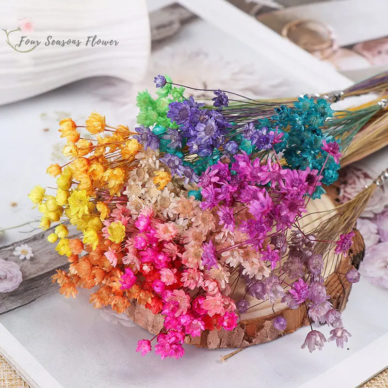 

60pcs Natural Little Star Flowers Dried Real Mini Daisy Bouquet For Home Decor Artificial Flowers Country Wedding Decoration