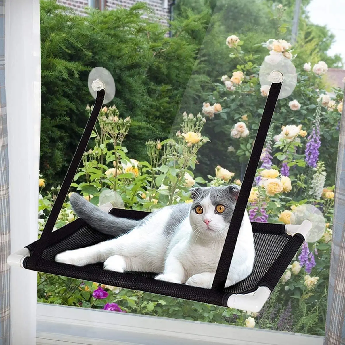 Cat Bed Hanging Window Cat Hammock Bed for Cats Comfortable Canvas Pet Hammock Kitty Sunny Window Seat Mount Bearing 10kg
Cat Bed Hanging Window Cat Hammock Bed for Cats Comfortable Canvas Pet Hammock Kitty Sunny Window Seat Mount Bearing 10kg