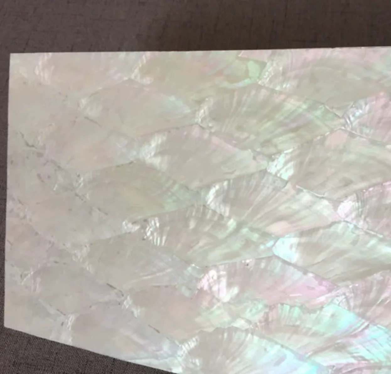 Length:240mm W:140mm T:0.2mm Natural Material Fan Pattern Shell Veneer Furniture Mobile Phone Case Creative DIY Jewelry
Length:240mm W:140mm T:0.2mm Natural Material Fan Pattern Shell Veneer Furniture Mobile Phone Case Creative DIY Jewelry