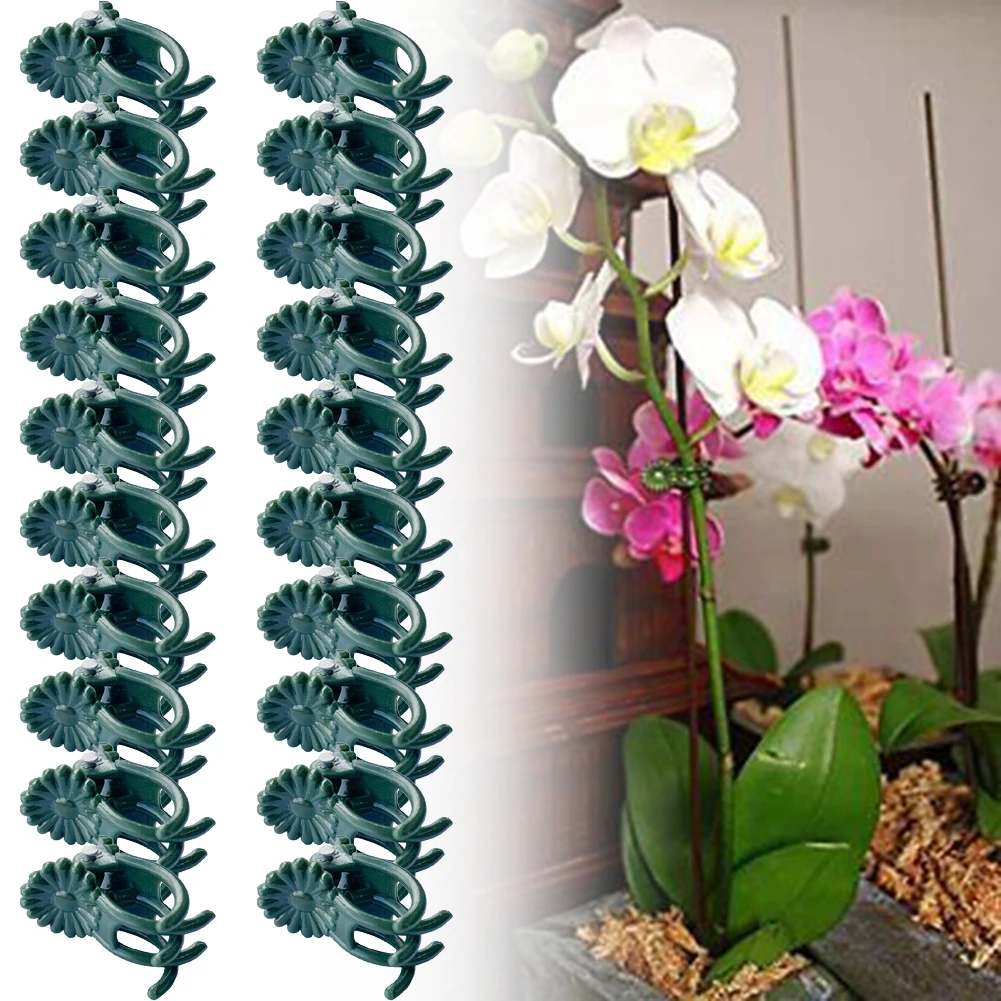 20PCS 6-Claw Dark Green Plant Clips Orchid Flowers Support Clamp Climbing Vine Stem Clasp Tied Bundle Branch Garden Tool
20PCS 6-Claw Dark Green Plant Clips Orchid Flowers Support Clamp Climbing Vine Stem Clasp Tied Bundle Branch Garden Tool