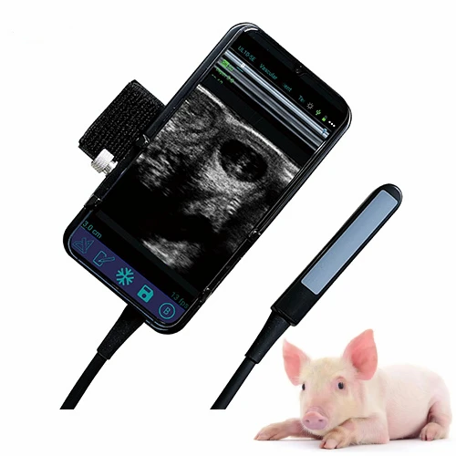 Veterinary USB Ultrasound Probe Pregnancy Test Ultrasonographs Scanner with Rectal Probe
Veterinary USB Ultrasound Probe Pregnancy Test Ultrasonographs Scanner with Rectal Probe
