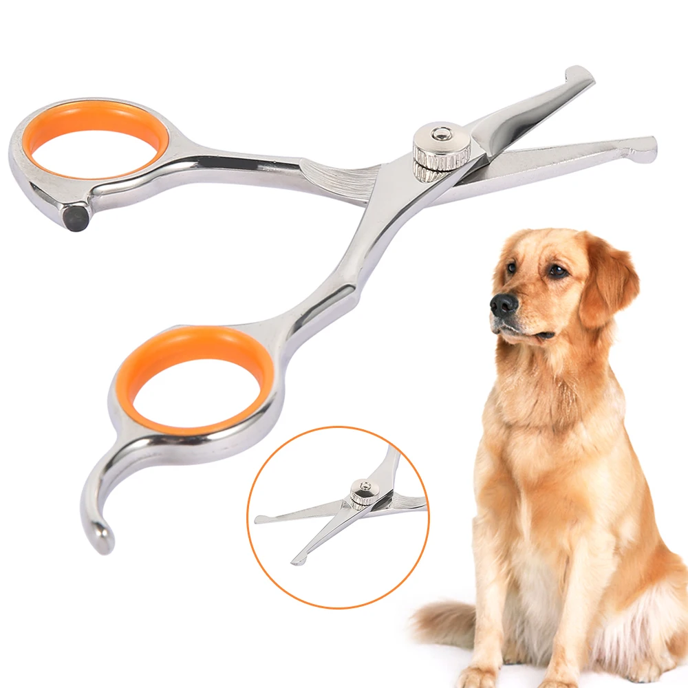 Stainless Steel Pet Hair Scissor Durable Safety Rounded Tips Professional Cat Dog Hair Cutting Tool Pet Grooming Barber Supplies
Stainless Steel Pet Hair Scissor Durable Safety Rounded Tips Professional Cat Dog Hair Cutting Tool Pet Grooming Barber Supplies