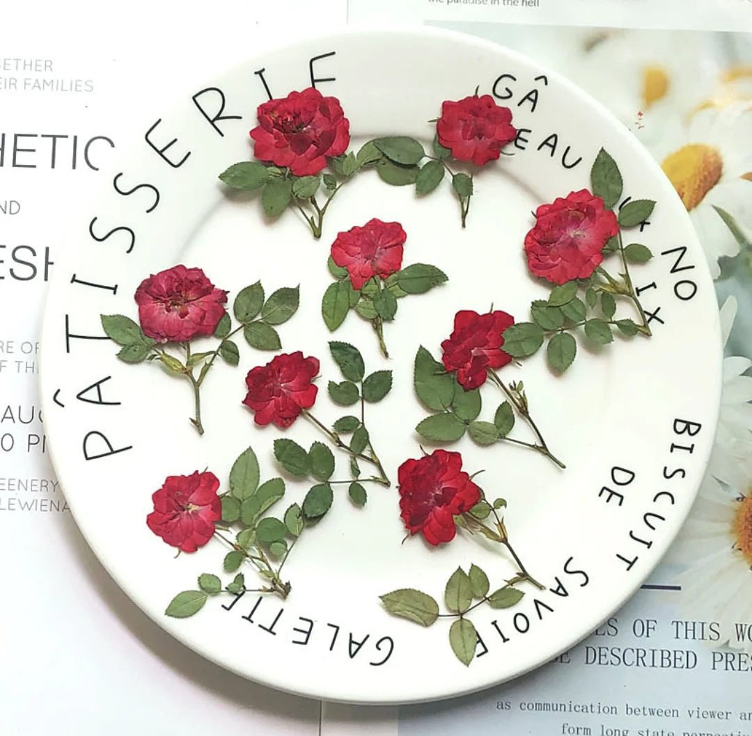 Pressed Dried Rose Flower With Stem Leaf Herbarium For Epoxy Resin Jewelry Making Bookmark Phone Case Face Makeup Nail Art DIY
Pressed Dried Rose Flower With Stem Leaf Herbarium For Epoxy Resin Jewelry Making Bookmark Phone Case Face Makeup Nail Art DIY