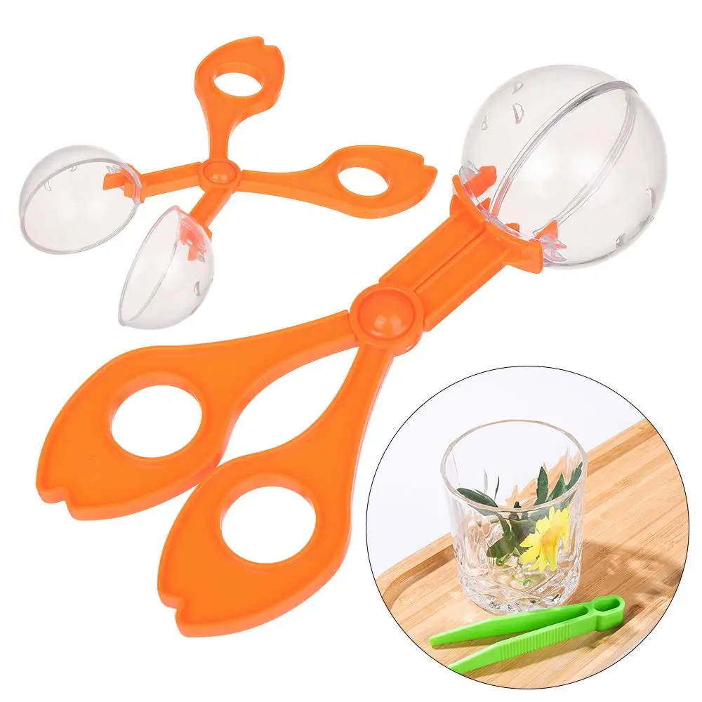 Adventure Plant Study Biological Gather Game Plastic Tweezers Kits Nature Exploration Toy Insect Scissors Catcher
Adventure Plant Study Biological Gather Game Plastic Tweezers Kits Nature Exploration Toy Insect Scissors Catcher