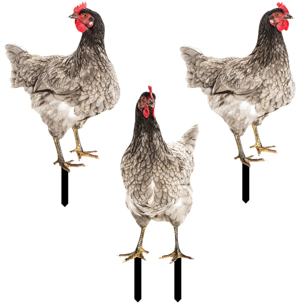 3 Pcs Rooster Lawn Stake Outdoor Decorations Chicken Yard Sign Backyard Animal Stake Animal Garden Stake Outdoor Statues
3 Pcs Rooster Lawn Stake Outdoor Decorations Chicken Yard Sign Backyard Animal Stake Animal Garden Stake Outdoor Statues