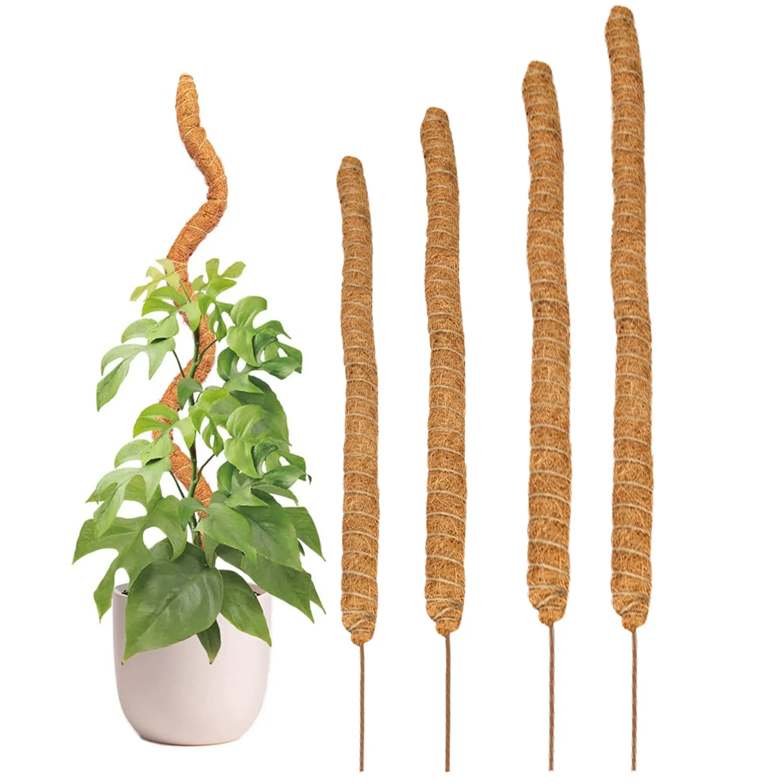 Bendable Moss Pole Plant Climbing Pole Coir Moss Stick Palm Vines Stick Plant Support Extension Climbing Indoor Plants Creepers
Bendable Moss Pole Plant Climbing Pole Coir Moss Stick Palm Vines Stick Plant Support Extension Climbing Indoor Plants Creepers