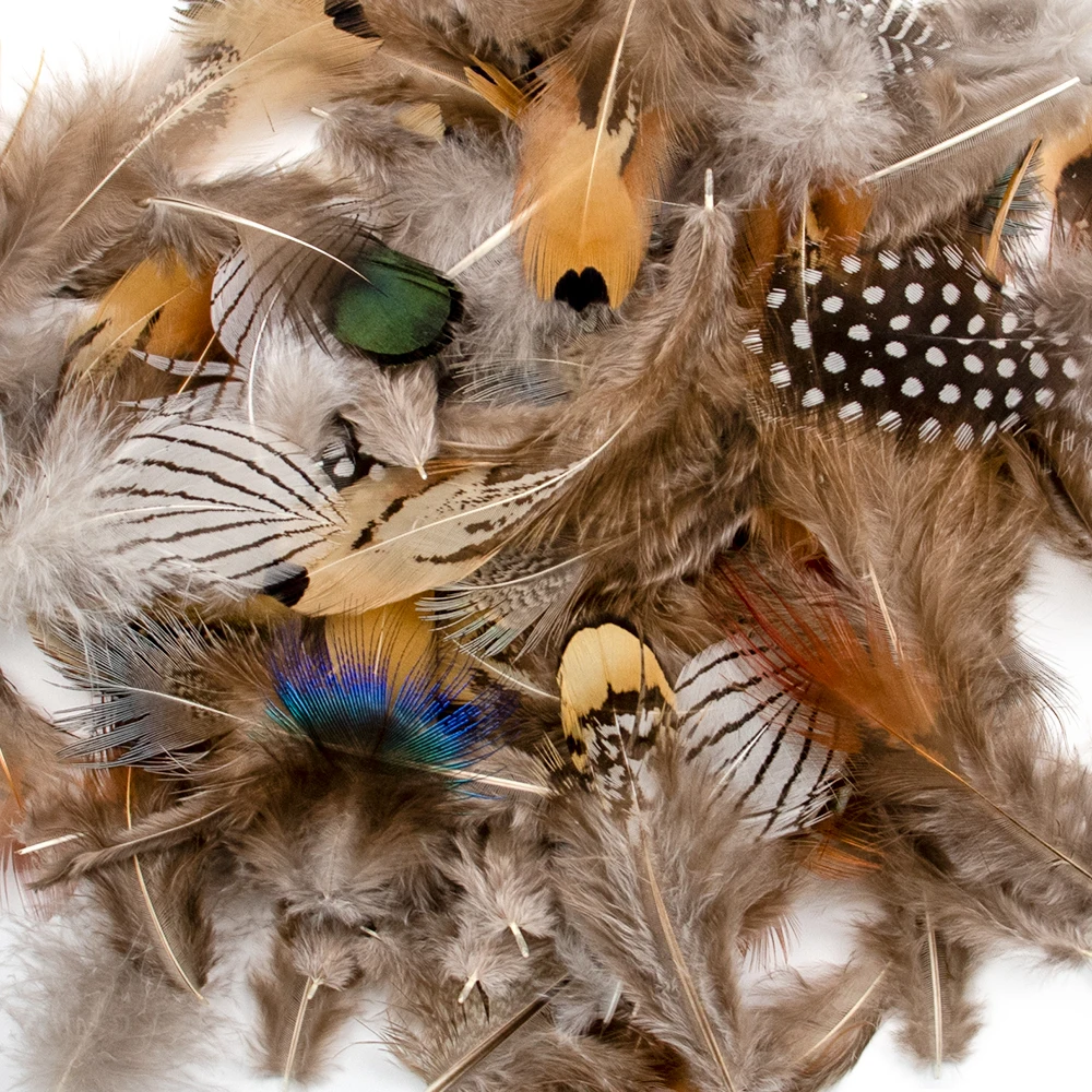 Natural Peacock Pheasant Feathers for Crafts 50Pcs Wholesale Jewelry Making Accessorie Wedding Decoration Dream Catcher Plumes
Natural Peacock Pheasant Feathers for Crafts 50Pcs Wholesale Jewelry Making Accessorie Wedding Decoration Dream Catcher Plumes
