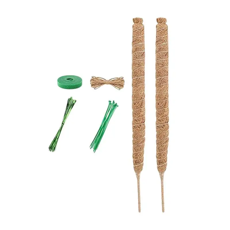 Moss Pole Coco Coir Sticks For Indoor Greens Climbing Train Indoor Climbing Greens To Grow Upwards Coco Coir Totem Stakes For
Moss Pole Coco Coir Sticks For Indoor Greens Climbing Train Indoor Climbing Greens To Grow Upwards Coco Coir Totem Stakes For