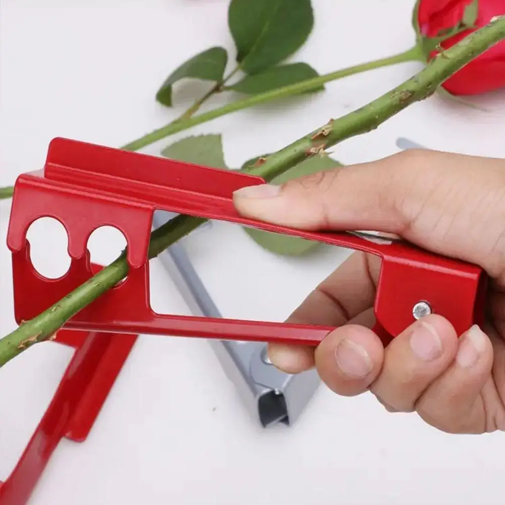 Инструмент для резки цветка и розы, B3a8
Инструмент для резки цветка и розы, B3a8