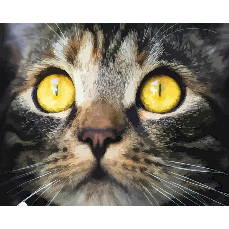 SDOYUNO Oil Painting By Numbers Cat Animal Kit Drawing On Canvas Wall Art HandPainted Picture Home Decor DIY Gift Set 
SDOYUNO Oil Painting By Numbers Cat Animal Kit Drawing On Canvas Wall Art HandPainted Picture Home Decor DIY Gift Set