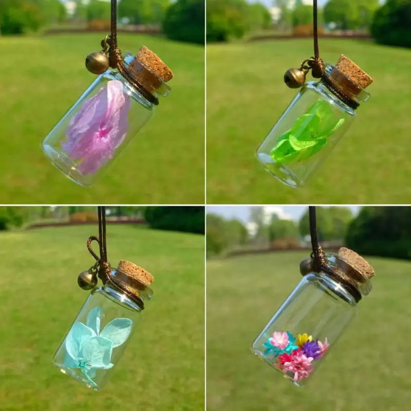 Creative Car Bottle Car Pendant Universal Exquisite Healthy And Non-toxic Car Mirror Pendant Car Accessories 1pcs
Creative Car Bottle Car Pendant Universal Exquisite Healthy And Non-toxic Car Mirror Pendant Car Accessories 1pcs