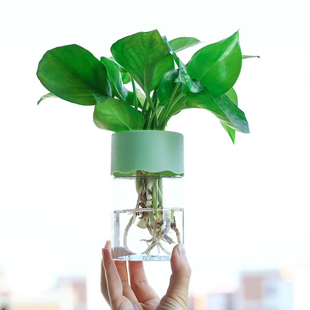 Plant Pots Hydroponic Pot Transparent Vegetable Water Planting Vase Hydroponic Nursery Plant Pots Plastic Plant Care
Plant Pots Hydroponic Pot Transparent Vegetable Water Planting Vase Hydroponic Nursery Plant Pots Plastic Plant Care