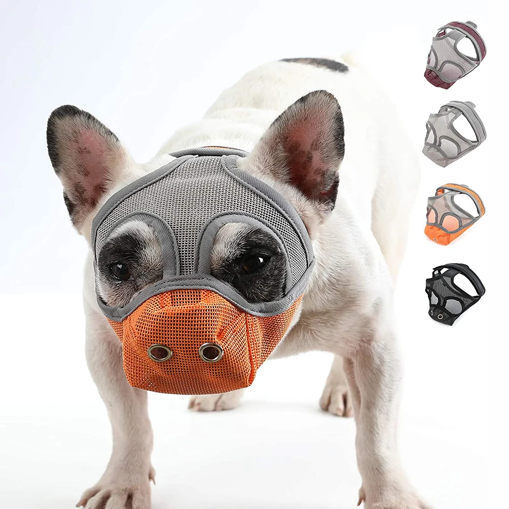 French Bulldog Muzzle Short Snout Dog Muzzle for English Bulldog Mesh Dog Muzzle with Tongue Out Design Flat Face Dog Muzzle
French Bulldog Muzzle Short Snout Dog Muzzle for English Bulldog Mesh Dog Muzzle with Tongue Out Design Flat Face Dog Muzzle