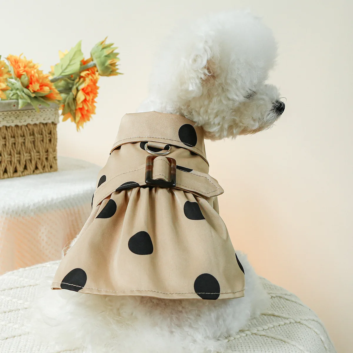 

Cute Polka Dot Trench Coat for Dog and Cat, Handsome Teddy, Bichon, Pet Puppy Clothing
