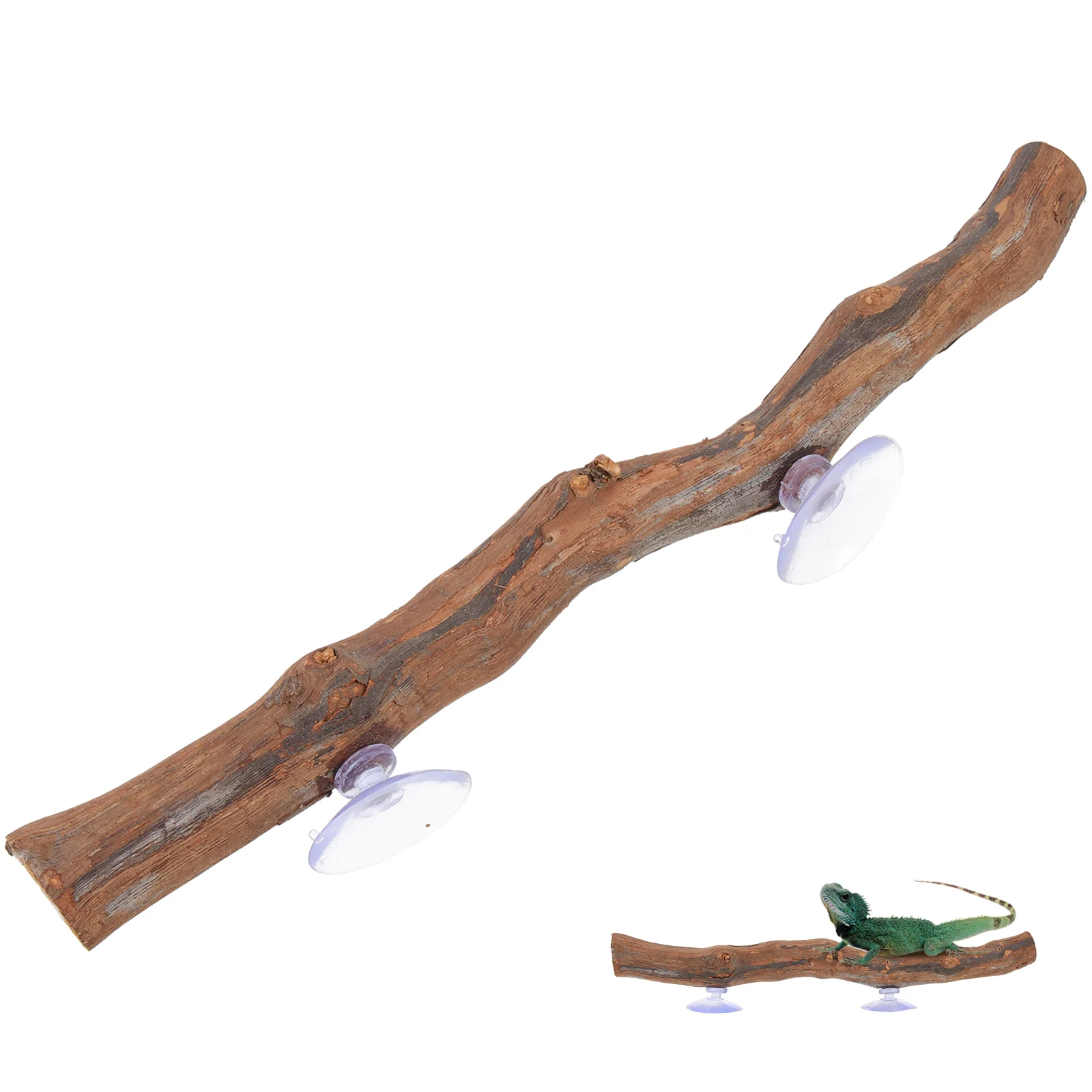 Reptile Branch Climbing Accessories Terrarium Wooden Decor Toy Bearded Dragon Standing Racktank Tree Decoration Lizard Gecko
Reptile Branch Climbing Accessories Terrarium Wooden Decor Toy Bearded Dragon Standing Racktank Tree Decoration Lizard Gecko