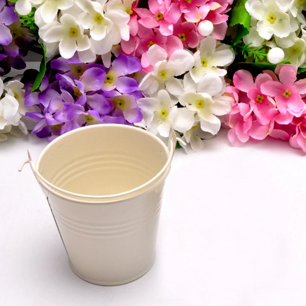 Mini Metal Bucket Tin Buckets Pail Wedding Succulent Favor Boxes Fries French Pails Pot Ice Flower Colored Party Pots Box Candy
Mini Metal Bucket Tin Buckets Pail Wedding Succulent Favor Boxes Fries French Pails Pot Ice Flower Colored Party Pots Box Candy