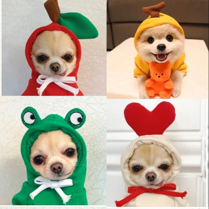 Fruits turned into dogs, cats, small and medium-sized dogs dog clothes for small dogs bankstown bulldogs
Fruits turned into dogs, cats, small and medium-sized dogs dog clothes for small dogs bankstown bulldogs