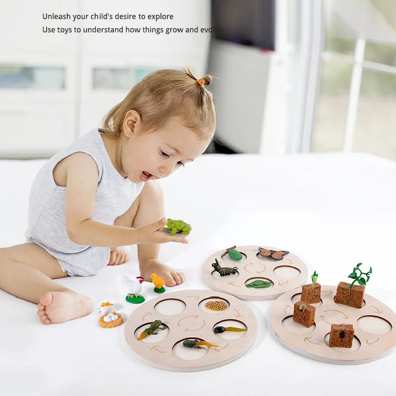 Wood Toys Snail Bee Insect Life Observer Research Sensory Toys for Special Needs Children's Day Educational Gifts
Wood Toys Snail Bee Insect Life Observer Research Sensory Toys for Special Needs Children's Day Educational Gifts