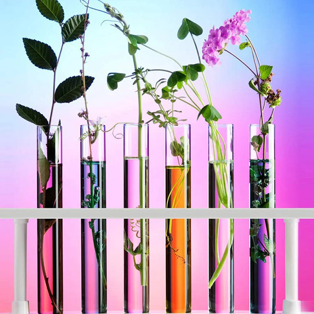 20 Pcs Clear Container Lid Glass Tube Scientific Transparent Test Wooden Tubes Lids
20 Pcs Clear Container Lid Glass Tube Scientific Transparent Test Wooden Tubes Lids