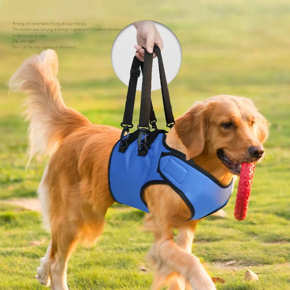 Disability Auxiliary Elderly Disabled Dog Dog Walking Pet Lift Support Harness Pet Auxiliary Belt Dog Lifting Belt
Disability Auxiliary Elderly Disabled Dog Dog Walking Pet Lift Support Harness Pet Auxiliary Belt Dog Lifting Belt