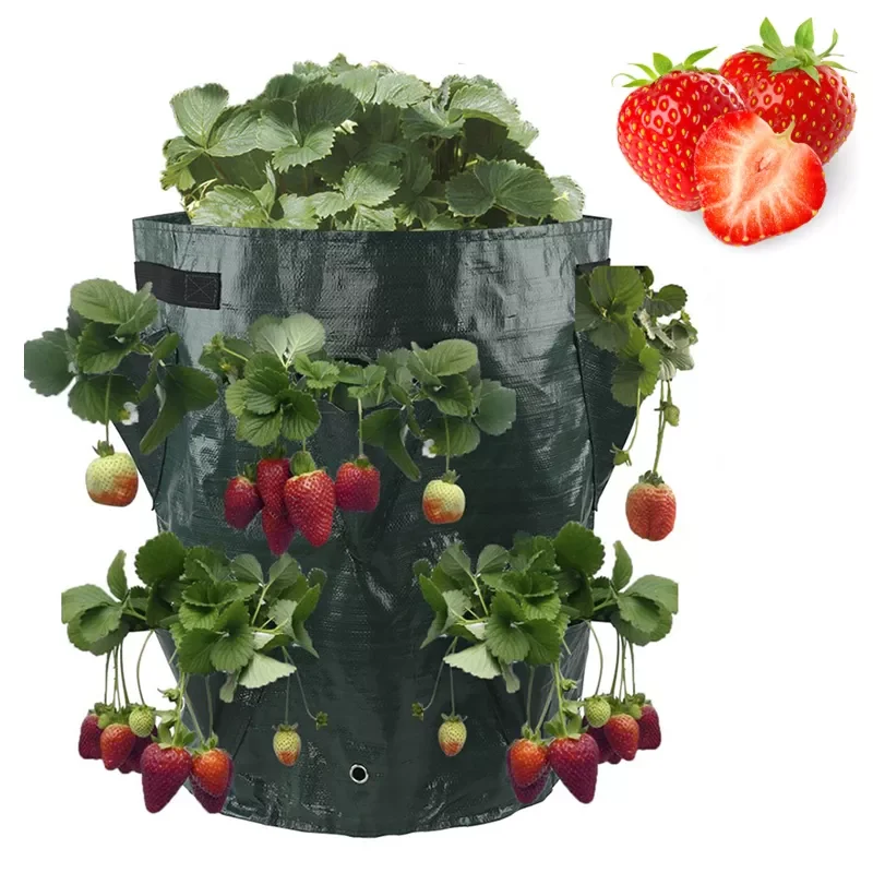 

Multi-Mouth Grow Bag 5/7/10 Gallons Strawberry Tomato Planting Bags Reusable Gardens Balconies Flower Herb Planter