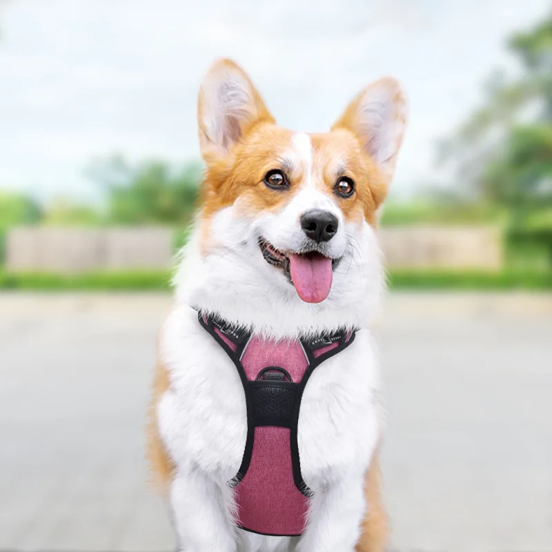 Pet Chest Strap Dog Leash Dog Breathable Reflective Vest Explosion-proof Punch Pet Accessories French Bulldog Golden Retriever
Pet Chest Strap Dog Leash Dog Breathable Reflective Vest Explosion-proof Punch Pet Accessories French Bulldog Golden Retriever