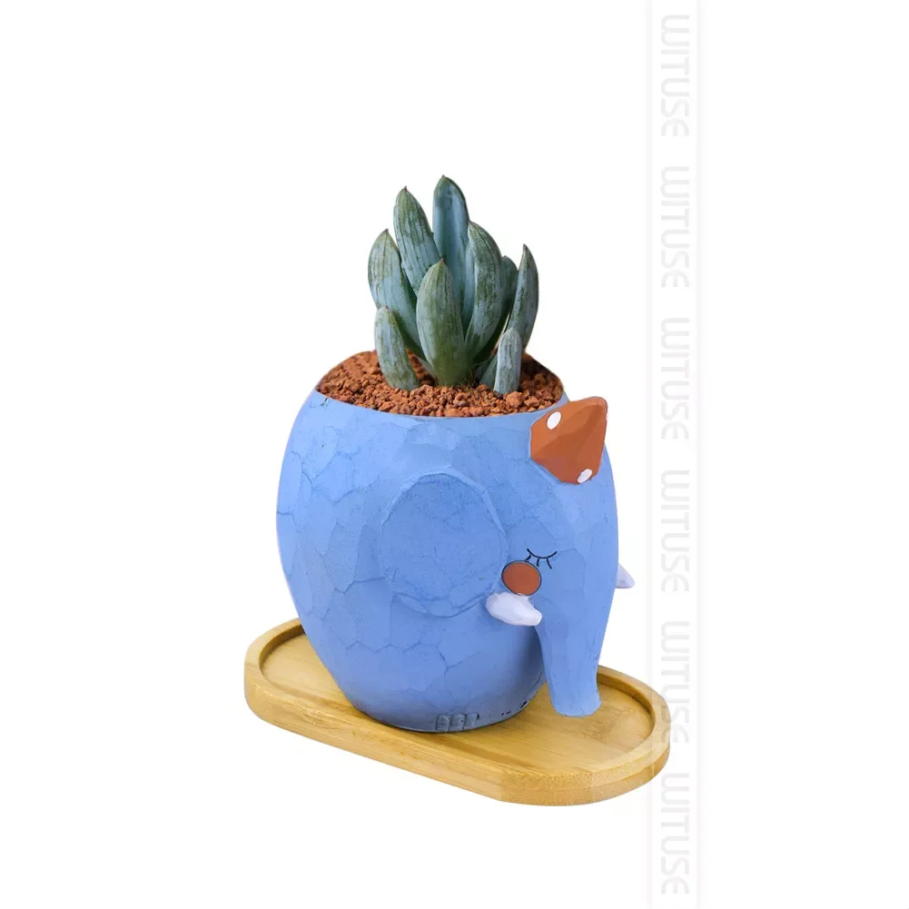 Flower Pots Nursery Planter Bamboo Tray Anti-Fade 14 Style Round Square Minimalism Gardening Supply Wood Rural Holder Home Decor
Flower Pots Nursery Planter Bamboo Tray Anti-Fade 14 Style Round Square Minimalism Gardening Supply Wood Rural Holder Home Decor