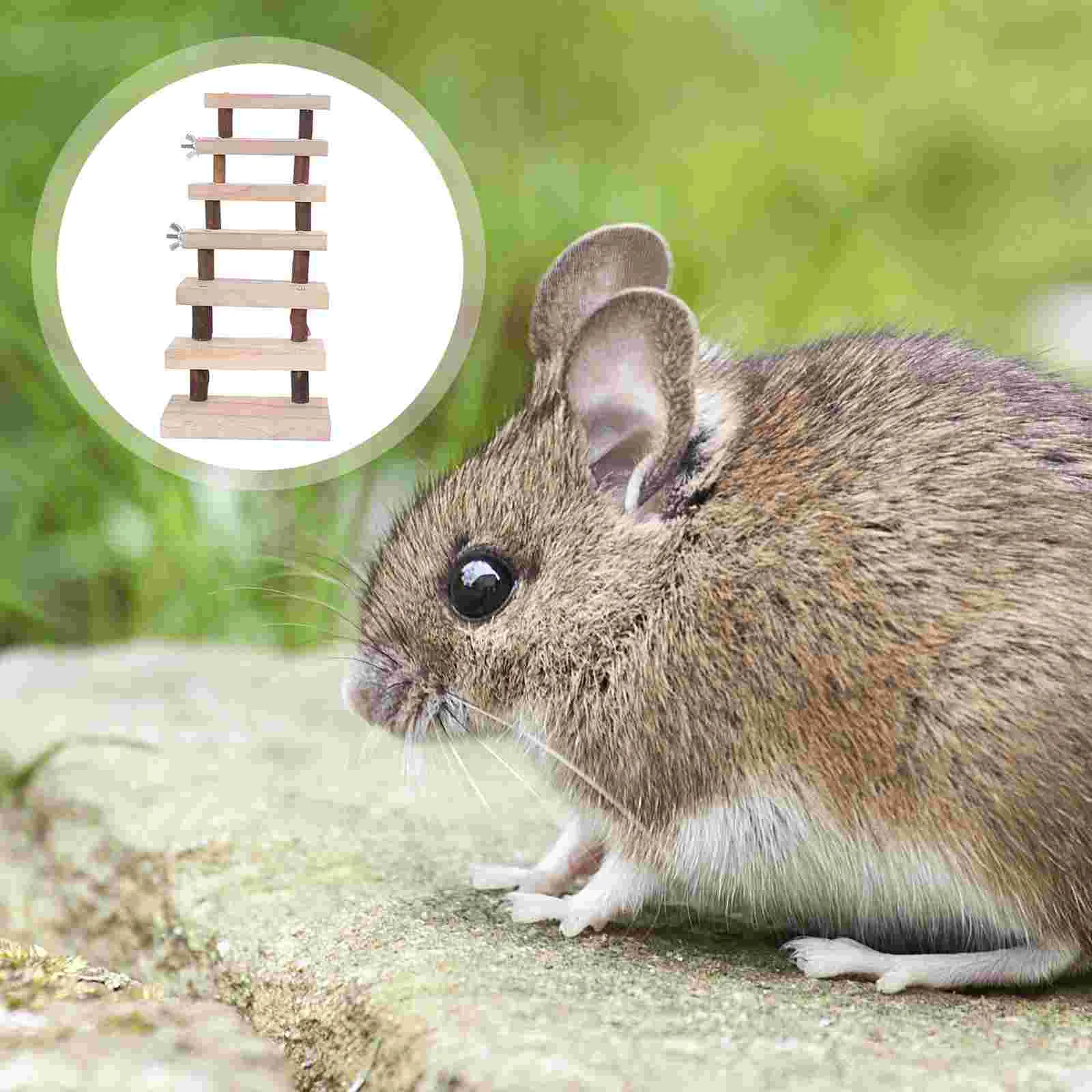 Ladder Climbing Hamsterwooden Parrotsquirrel Platform Pet Small Playground Bird Guinea Stairs Pedal Chinchilla Ferret Bridgepets
Ladder Climbing Hamsterwooden Parrotsquirrel Platform Pet Small Playground Bird Guinea Stairs Pedal Chinchilla Ferret Bridgepets