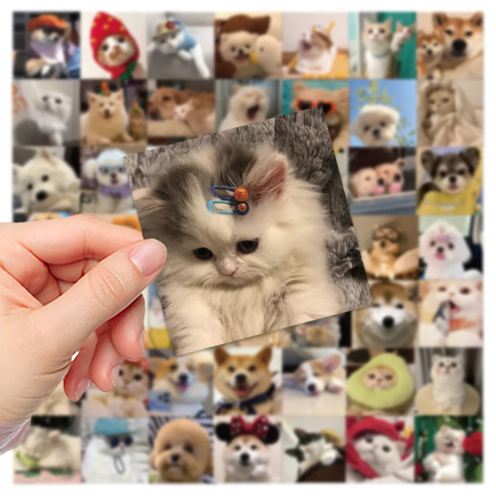 10/30/52PCS Cute Dog Cat MEME Stickers PVC Waterpoof Decals DIY Laptop Phone Luggage Stationary Funny Animal Sticker Toys Gift 
10/30/52PCS Cute Dog Cat MEME Stickers PVC Waterpoof Decals DIY Laptop Phone Luggage Stationary Funny Animal Sticker Toys Gift
