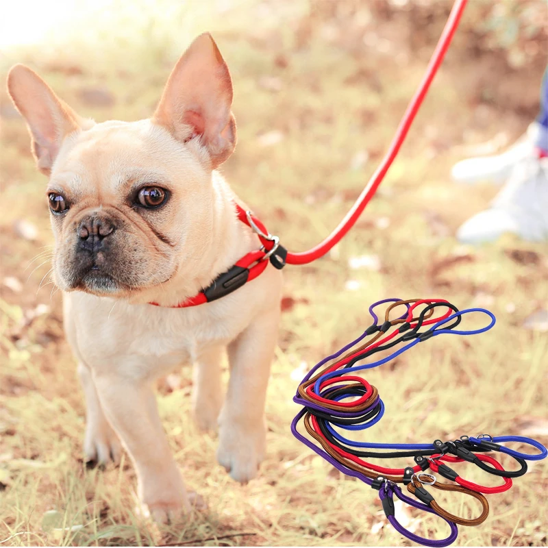 Pet Products Golden Teddy Dog Traction Rope Chain Large Dog Collar P Dog Leash Comfortable Nylon Material 5Colors De Boca
Pet Products Golden Teddy Dog Traction Rope Chain Large Dog Collar P Dog Leash Comfortable Nylon Material 5Colors De Boca
