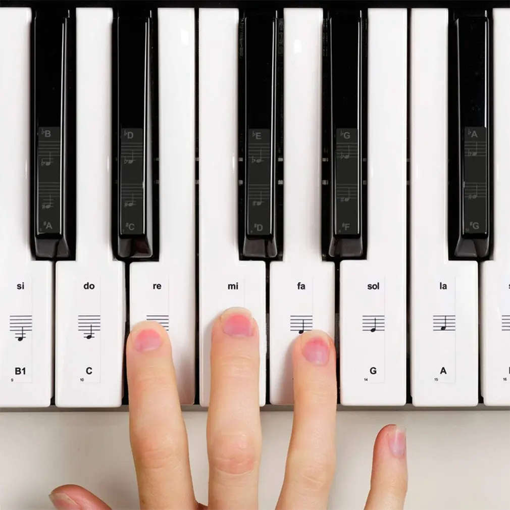 Transparent Detachable Music Decal Notes Piano Keyboard Stickers 54/61 or 88-key Electronic Piano Piano Spectrum Sticker Symbol
Transparent Detachable Music Decal Notes Piano Keyboard Stickers 54/61 or 88-key Electronic Piano Piano Spectrum Sticker Symbol