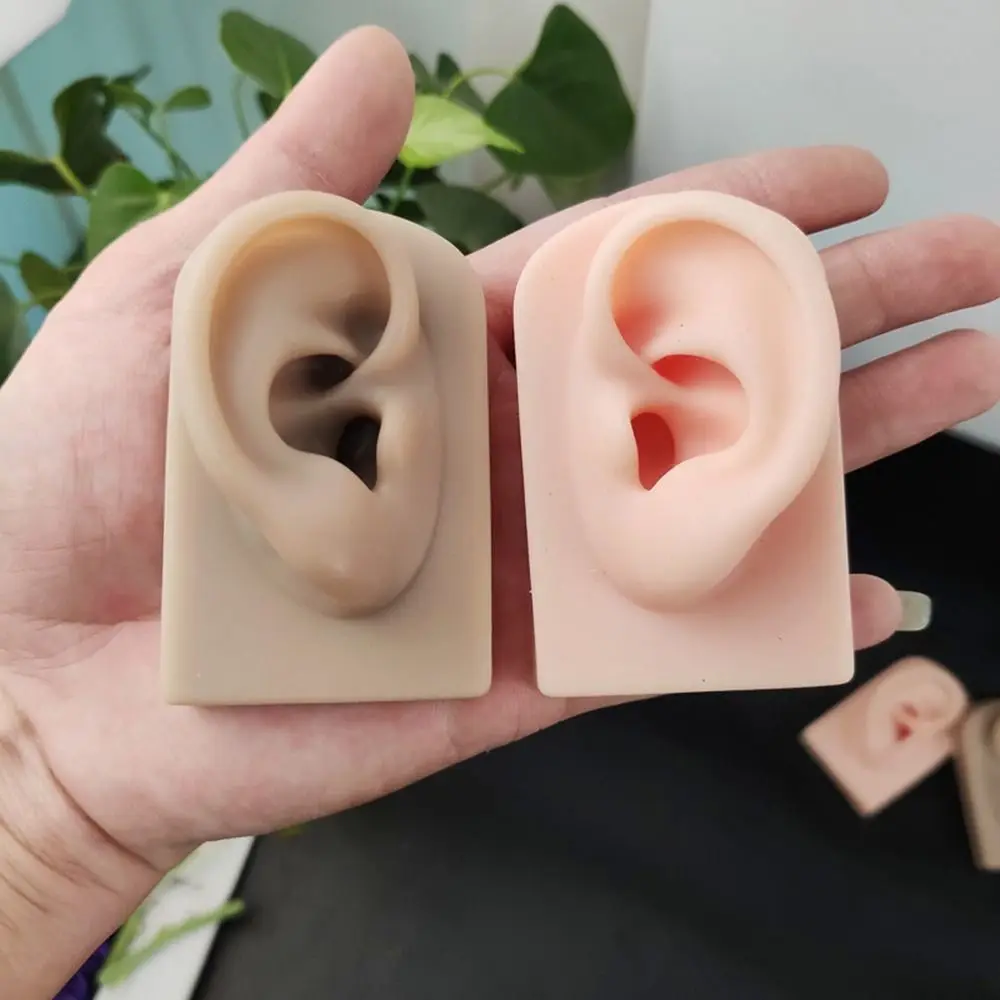 Sdotter 1Pcs New Silicone Ear Model Simulation Ear Human Earrings Display Piercing Training Props Novice Practice Ear Props
Sdotter 1Pcs New Silicone Ear Model Simulation Ear Human Earrings Display Piercing Training Props Novice Practice Ear Props