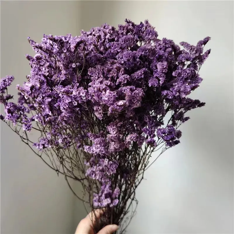 25g/Bouquet,Natural Fresh Preserved Crystal flowers,Eternal Flower for Wedding Party Home Decoration accessories,Display flowers
25g/Bouquet,Natural Fresh Preserved Crystal flowers,Eternal Flower for Wedding Party Home Decoration accessories,Display flowers