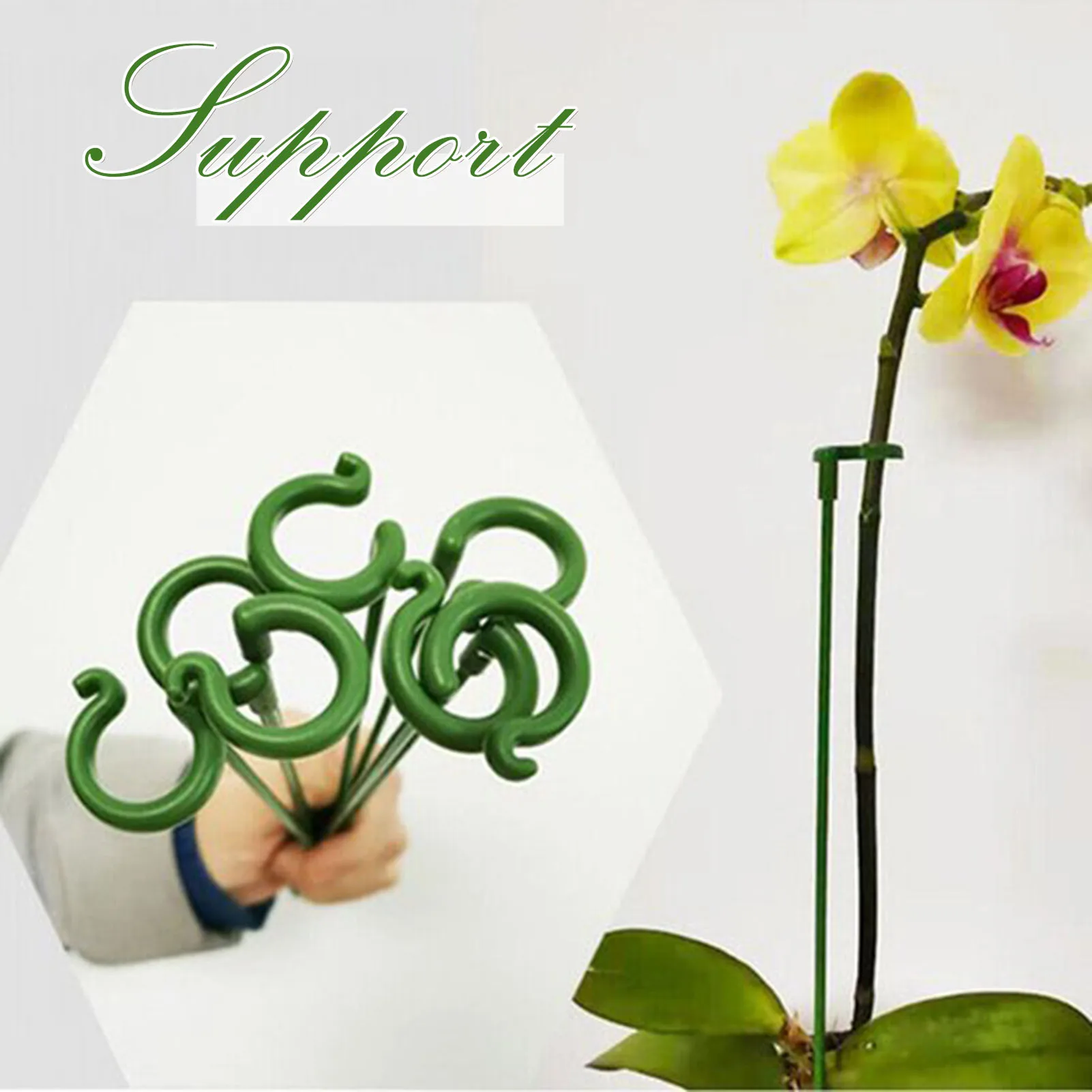 17/27/37/48cm Garden Flower Bracket Indoor Flower Stand Plants Support Stake Single Support Ring Green Plant Climb Support Fram
17/27/37/48cm Garden Flower Bracket Indoor Flower Stand Plants Support Stake Single Support Ring Green Plant Climb Support Fram
