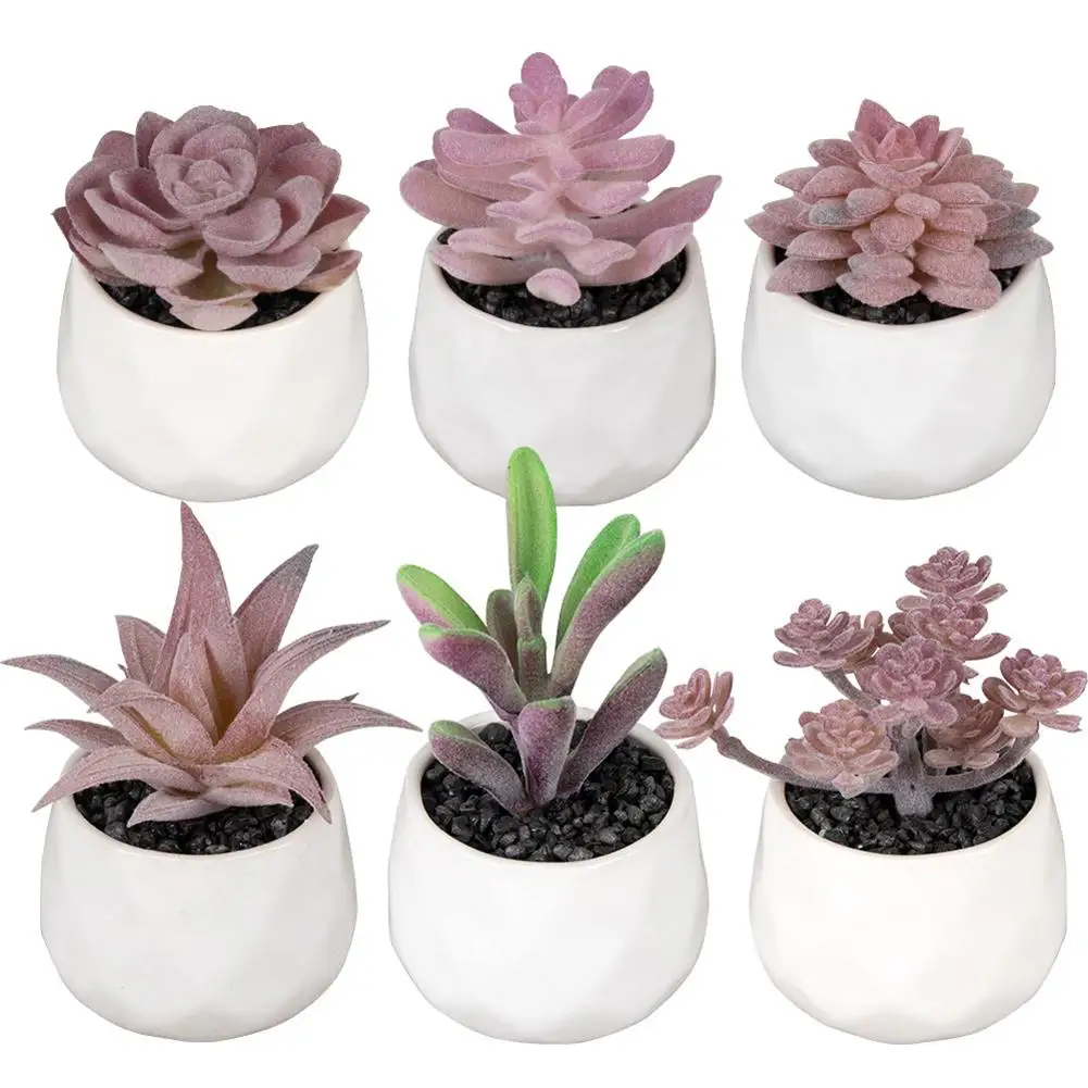 6pcs Potted Plants Artificial Faux Succulent Plants In White Ceramic Pots For Bedroom Bathroom Office Home Decor
6pcs Potted Plants Artificial Faux Succulent Plants In White Ceramic Pots For Bedroom Bathroom Office Home Decor