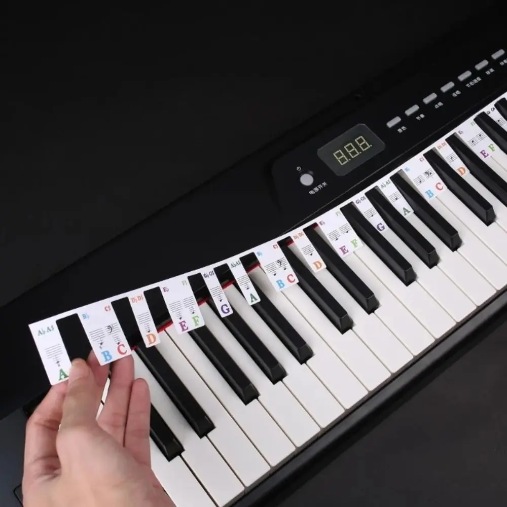 Keys 88 Keys Kids Gift Removable Piano Rake Notes Marker Keyboard Stickers Piano Key Labels Piano Fingering Accessories
Keys 88 Keys Kids Gift Removable Piano Rake Notes Marker Keyboard Stickers Piano Key Labels Piano Fingering Accessories