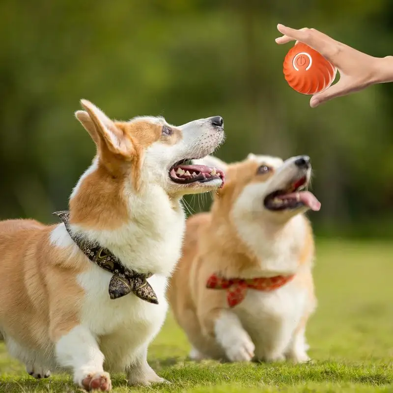 Self Rolling Ball Dog Toy Electric Rechargeable Smart Cat Toy Ball Self-Rolling Intelligent Ball 2 Modes Durable for Indoor Cats
Self Rolling Ball Dog Toy Electric Rechargeable Smart Cat Toy Ball Self-Rolling Intelligent Ball 2 Modes Durable for Indoor Cats