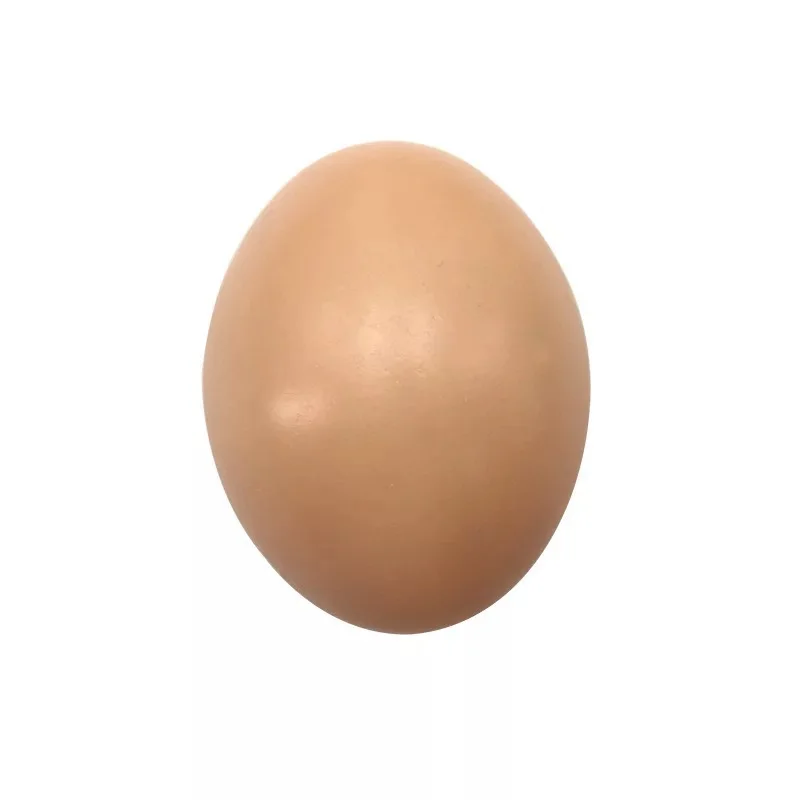 5Pcs Fake Dummy Egg Hen Poultry Chicken Joke Prank Plastic Eggs Party Decor Novelty Toy for Kids DIY
5Pcs Fake Dummy Egg Hen Poultry Chicken Joke Prank Plastic Eggs Party Decor Novelty Toy for Kids DIY