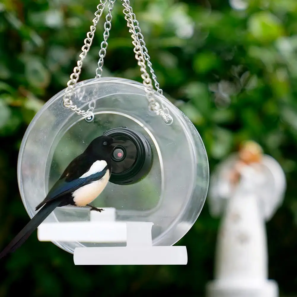 Acrylic Transparent Bird Feeder Suction Cup Mounted Tool Feeder Bird Camera Feeding Birdhouse With Food R4s2
Acrylic Transparent Bird Feeder Suction Cup Mounted Tool Feeder Bird Camera Feeding Birdhouse With Food R4s2