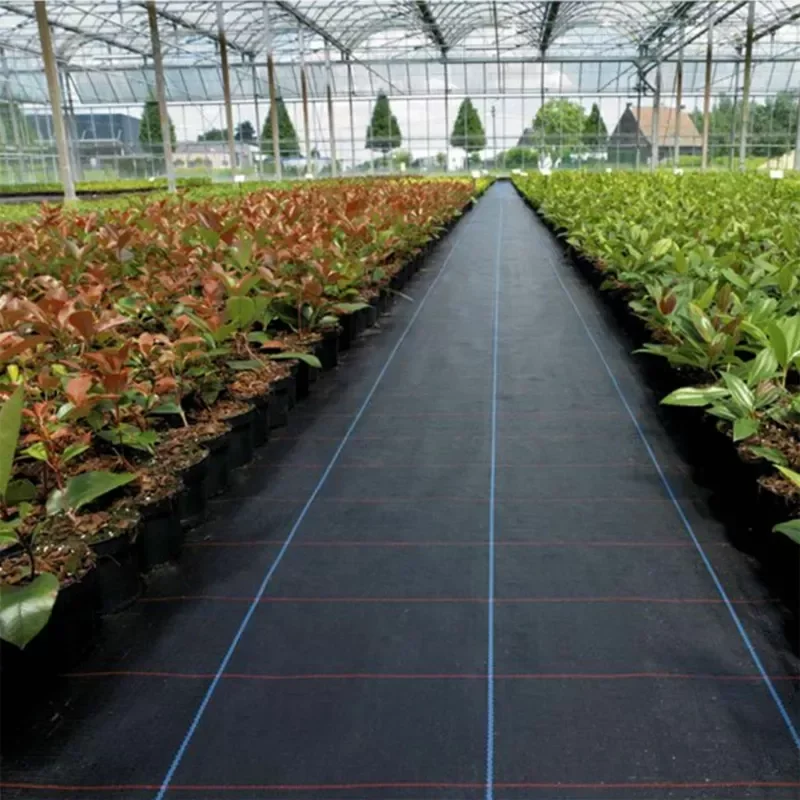 NEW2023 Anti Grass Cloth Farm-oriented Weed Barrier Mat Black Plastic Mulch Thicker Orchard Garden Weed Control Fabric
NEW2023 Anti Grass Cloth Farm-oriented Weed Barrier Mat Black Plastic Mulch Thicker Orchard Garden Weed Control Fabric