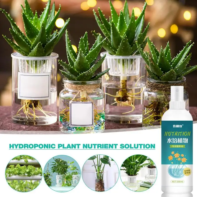 Hydroponic Plant Nutrient Solution A And B For Plants Flowers Vegetable Fruit Hydroponic Potting Flowers Liquid Fertilizer
Hydroponic Plant Nutrient Solution A And B For Plants Flowers Vegetable Fruit Hydroponic Potting Flowers Liquid Fertilizer