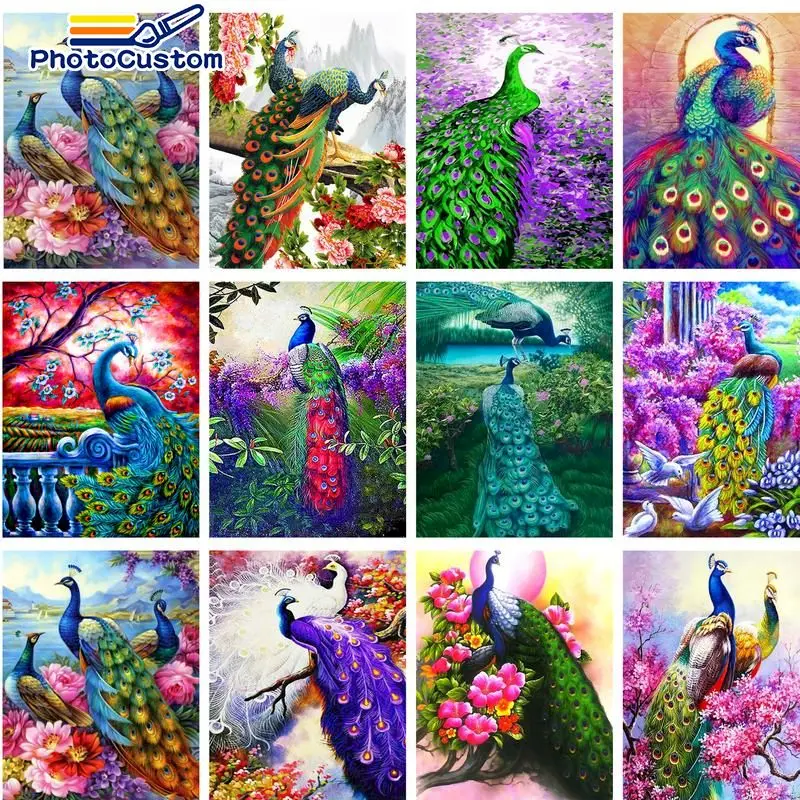 PhotoCustom Paint By Number Peacock Drawing On Canvas Acrylic painting Art Gift DIY Pictures By Number Animals Kits Home Decor 
PhotoCustom Paint By Number Peacock Drawing On Canvas Acrylic painting Art Gift DIY Pictures By Number Animals Kits Home Decor