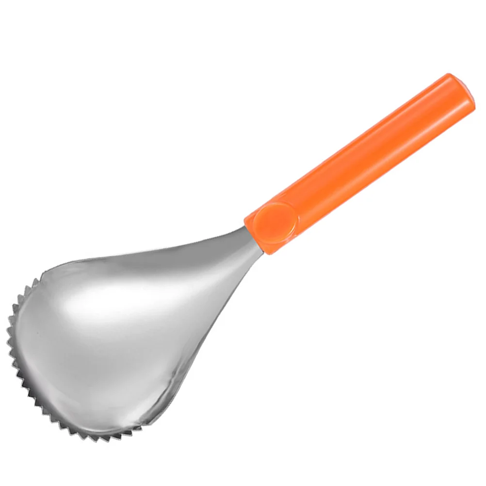 Pumpkin Pulp Remover Corer Scoop Fruit Corer Serrated Edge Fruit Scraper Stainless Steel Veggie Vegetable Corer Fruit Core
Pumpkin Pulp Remover Corer Scoop Fruit Corer Serrated Edge Fruit Scraper Stainless Steel Veggie Vegetable Corer Fruit Core