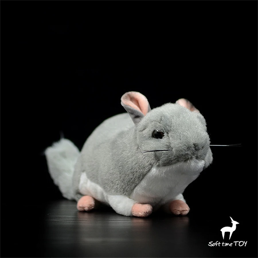 Totoro High Fidelity Anime Cute Plushie Chinchilla Plush Toys Lifelike Animals Simulation Stuffed Doll Kawai Toy Gifts For Kids
Totoro High Fidelity Anime Cute Plushie Chinchilla Plush Toys Lifelike Animals Simulation Stuffed Doll Kawai Toy Gifts For Kids