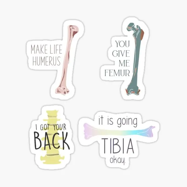 Anatomy Puns Pack 5PCS Stickers for Window Funny Decorations Cute Car Anime Stickers Water Bottles Art Luggage Bumper Home Wall
Anatomy Puns Pack 5PCS Stickers for Window Funny Decorations Cute Car Anime Stickers Water Bottles Art Luggage Bumper Home Wall