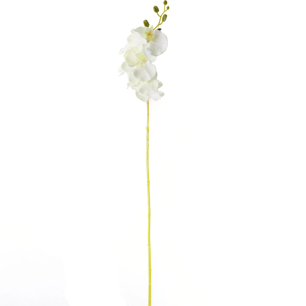 Small Artificial Flowers Orchids Present Touch for New Home Wedding Decorations Party Decor (White)
Small Artificial Flowers Orchids Present Touch for New Home Wedding Decorations Party Decor (White)