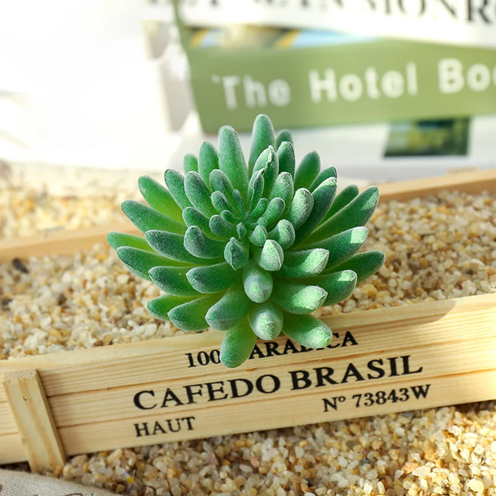 Floral Decor Artificial Plant Colourful Fake Plants Floral Decor Home Decor Plastic Flowers Artificial Succulent
Floral Decor Artificial Plant Colourful Fake Plants Floral Decor Home Decor Plastic Flowers Artificial Succulent